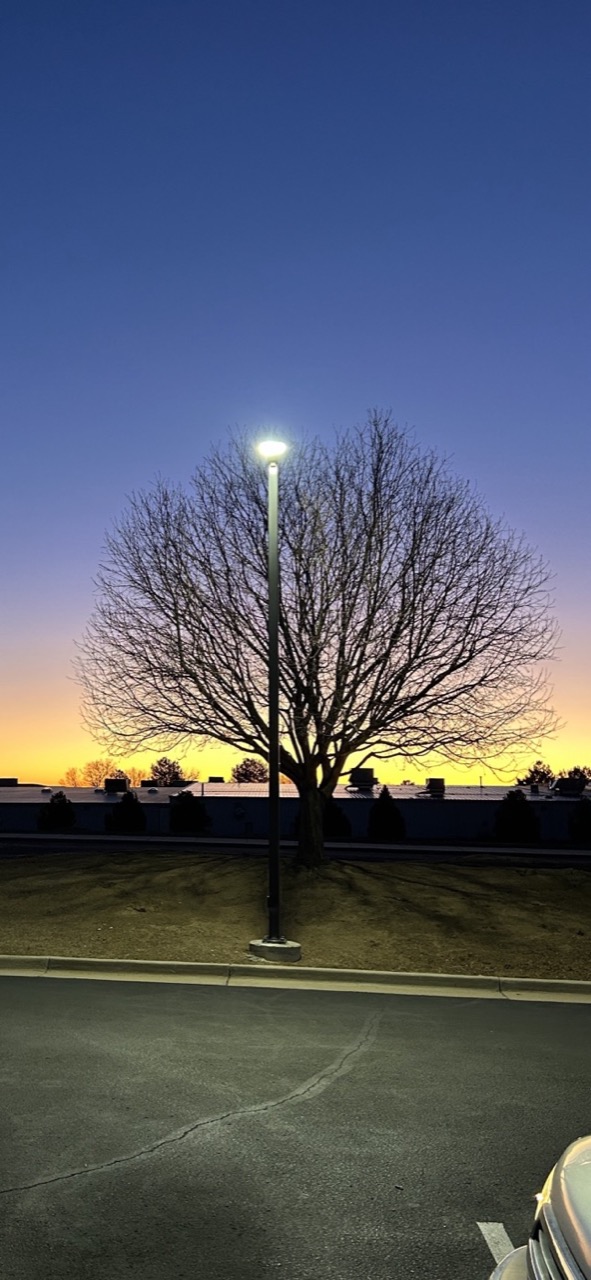 Parking lot pole light at dusk